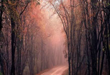 我要配资网股票平台:十大股票配资哪家好-寒武纪股价盘中大幅跳水 公司回应：不清楚具体原因 市场很多传闻都是假的